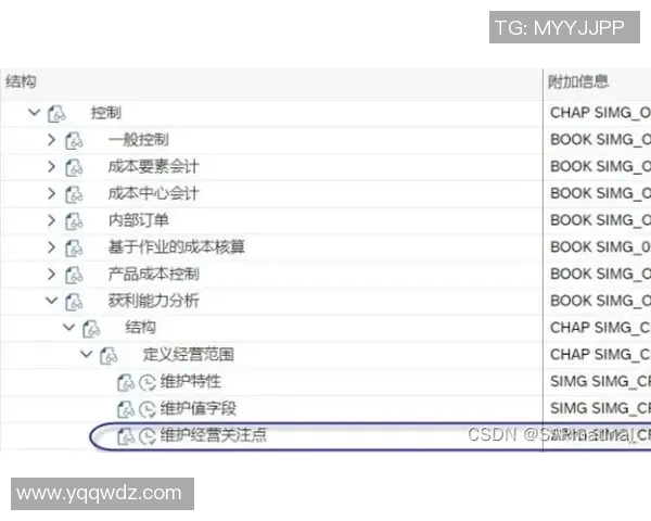 深度解析WE战队在CSGO赛事中的运营策略与发展路径实时数据